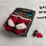 نظم دهنده لارج