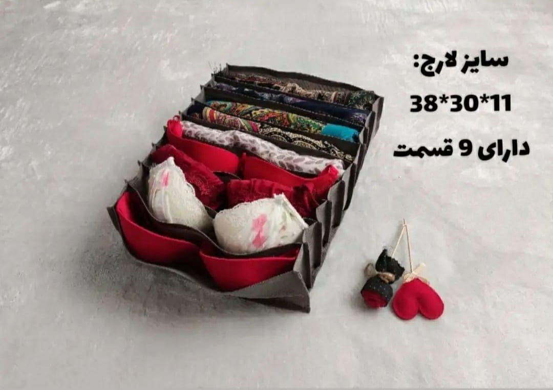 WhatsApp-Image-2023-06-29-at-20.47.15 نظم دهنده لارج - Image 1